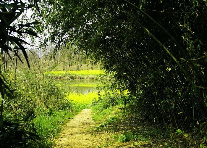 这里的春天别样的美，