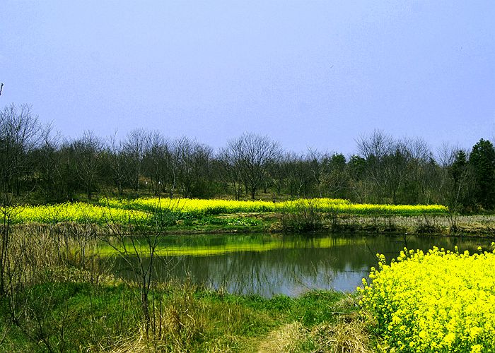 这里的春天别样的美，