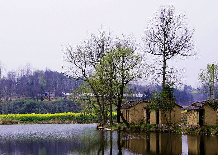 这里的春天别样的美，