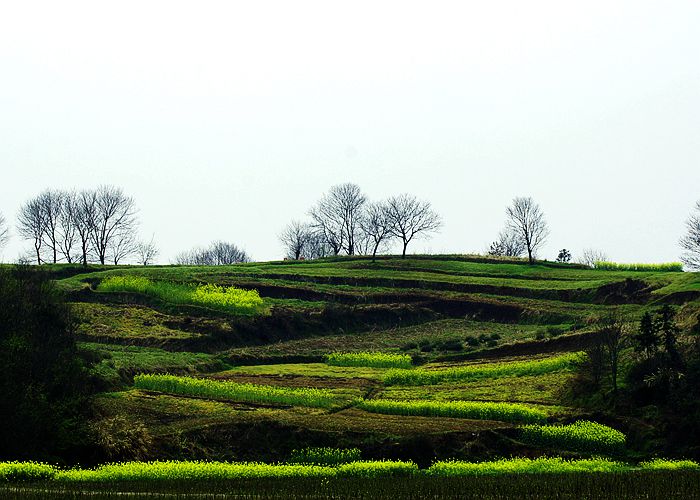 这里的春天别样的美，