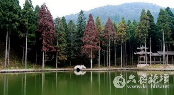 QQ截图20150407140244.png