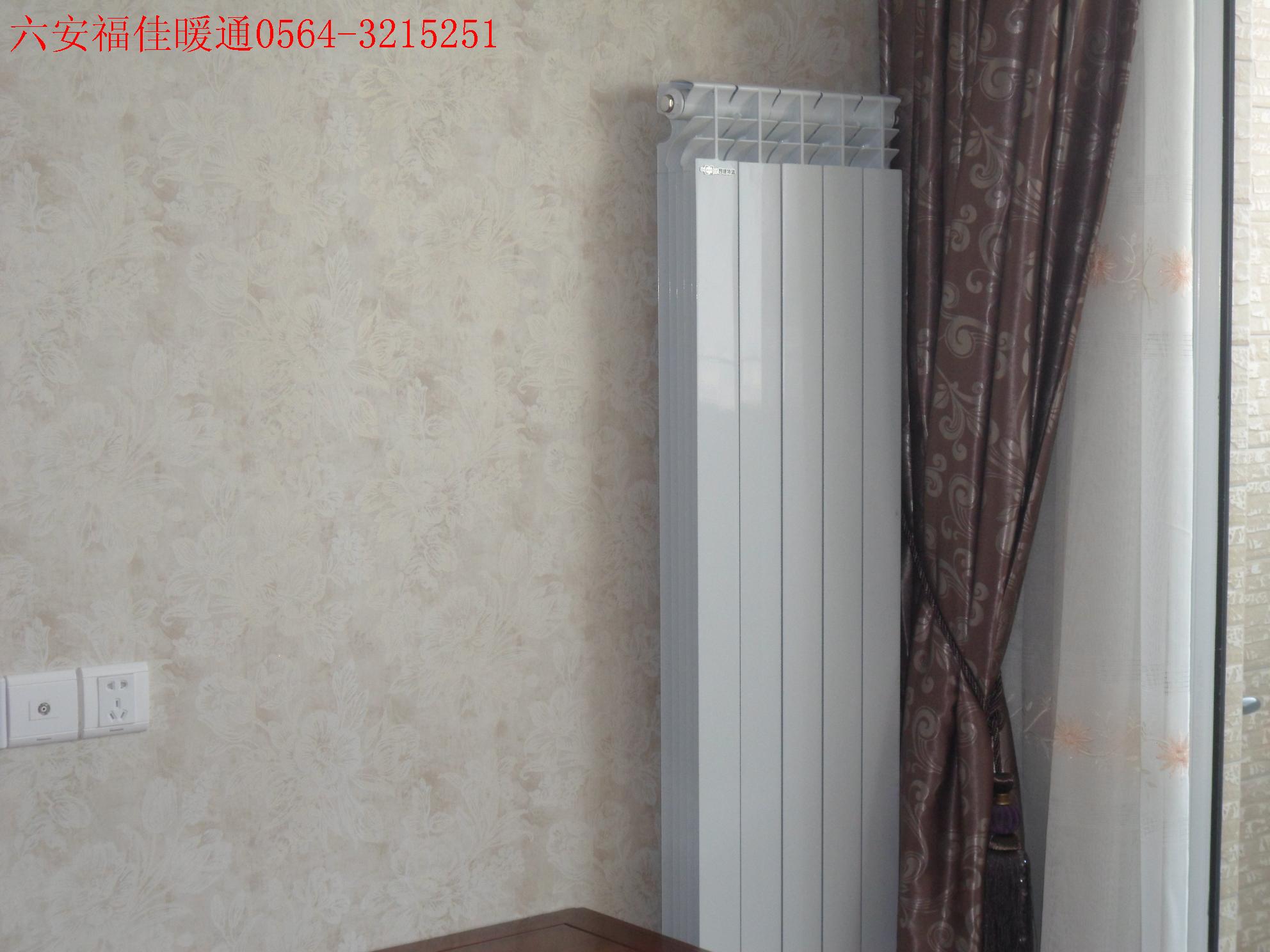 六安福佳暖气复件 SAM_0877 (15).JPG