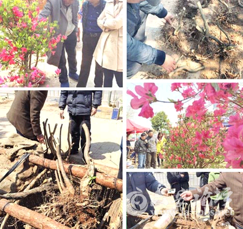 QQ截图20150406081802.png