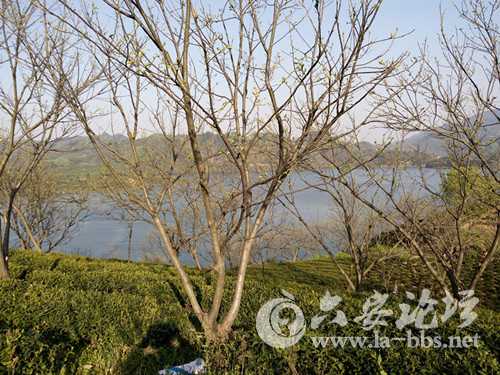 农夫果园与垂钓中心