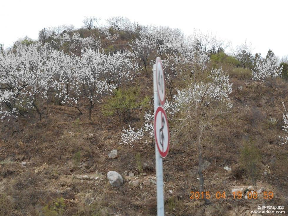 爱钓网 aidiao.com