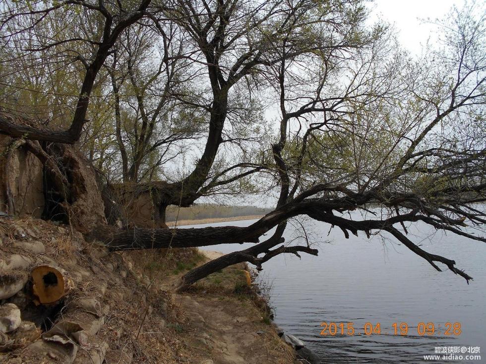 爱钓网 aidiao.com