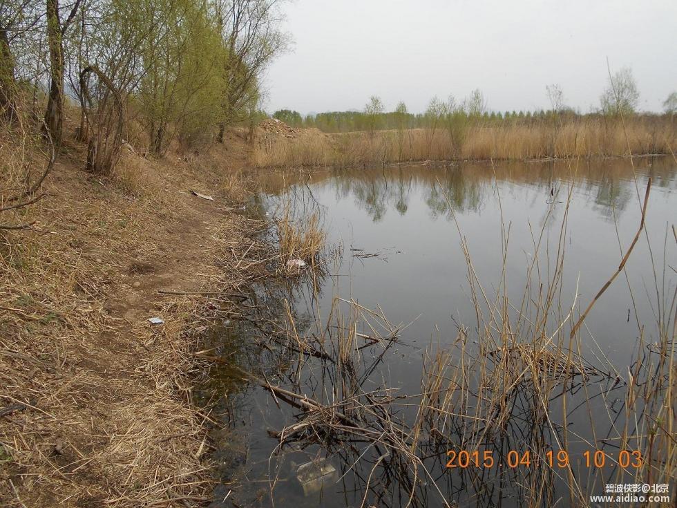 爱钓网 aidiao.com