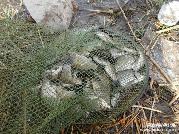 爱钓网 aidiao.com