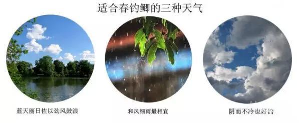 爱钓网 aidiao.com