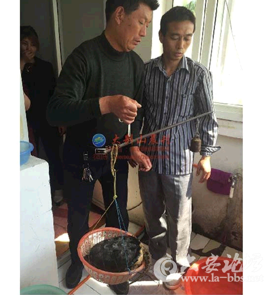 QQ截图20150413134438.png
