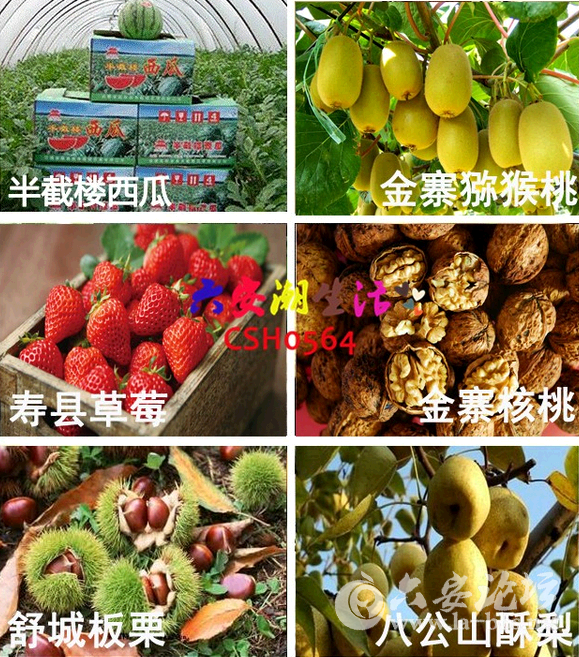 QQ截图20150414135838.png