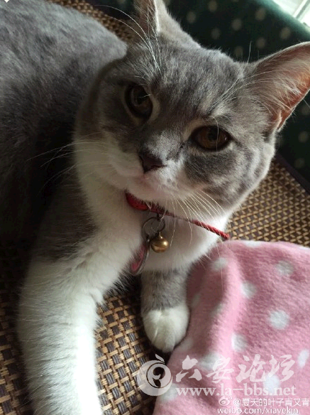 QQ截图20150425140120.png