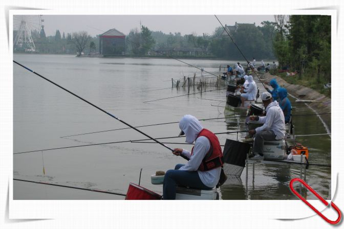 19.JPG