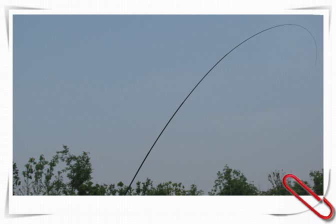 36.JPG