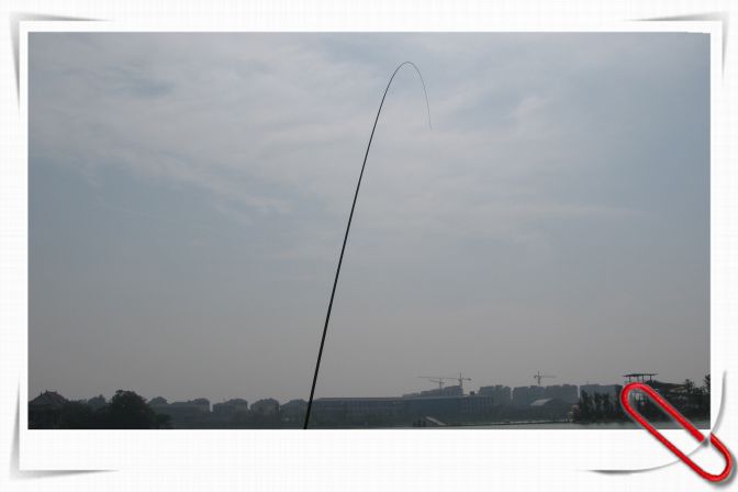 35.JPG