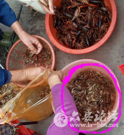 QQ截图20150510100831.png