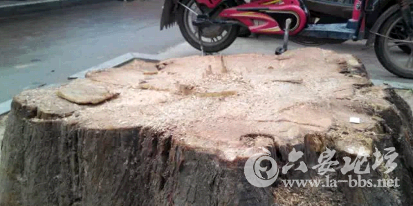 QQ截图20150517140539.png QQ截图20150517140539.png