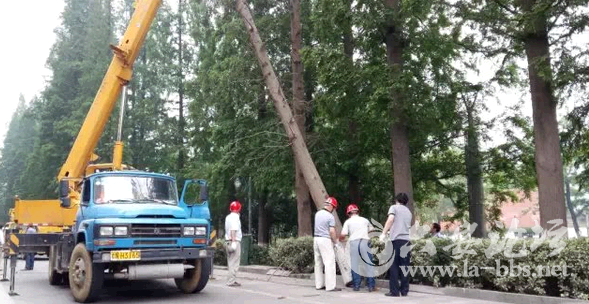 QQ截图20150517140559.png QQ截图20150517140559.png