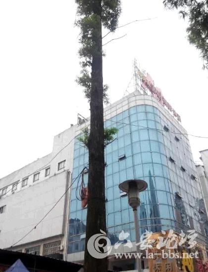 QQ截图20150517140613.png QQ截图20150517140613.png