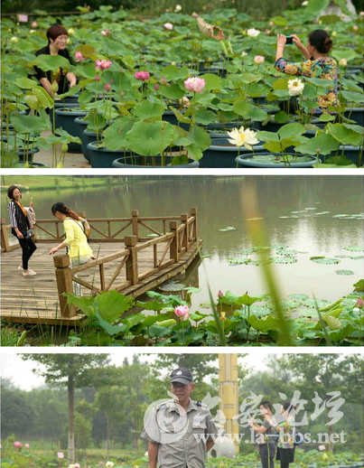 QQ截图20150525082353.png