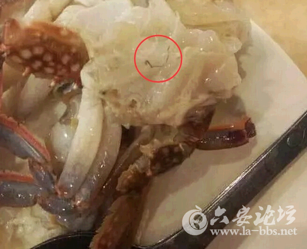QQ截图20150601084529.png
