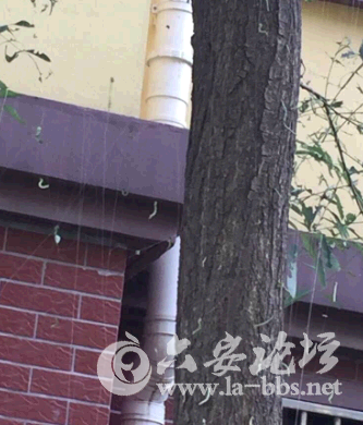 QQ截图20150604085449.png