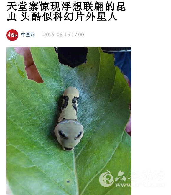 QQ截图20150607090841.png