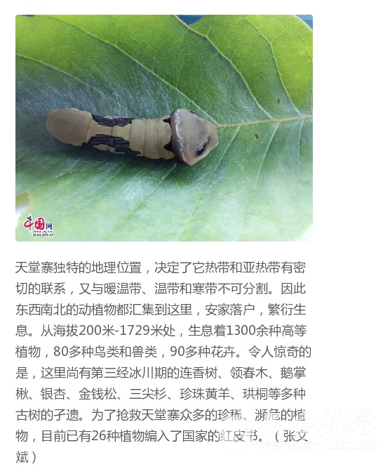 QQ截图20150607090902.png
