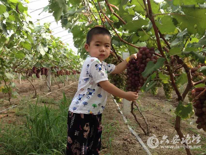小朋友很上镜哦