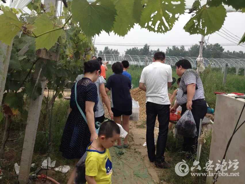 人气很旺哦，人民医院的一科室全体都来罗