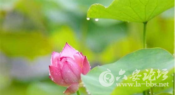 QQ截图20150701084053.png