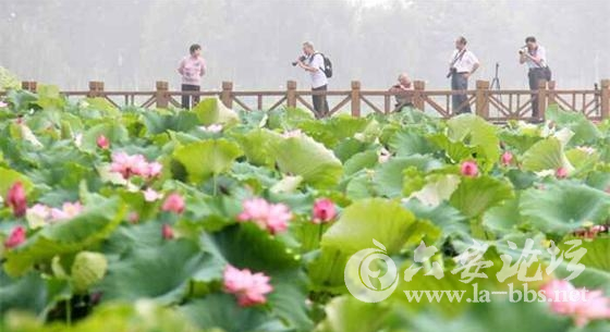 QQ截图20150701084110.png