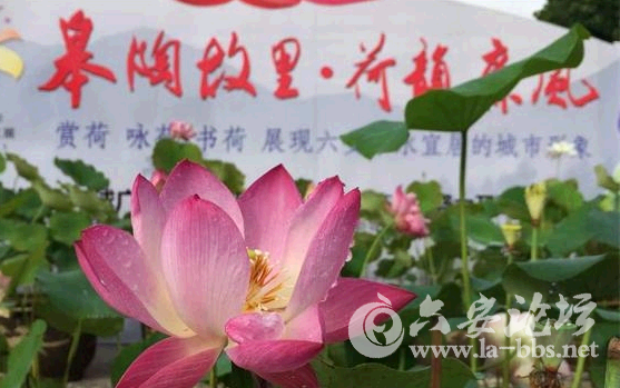QQ截图20150621085413.png
