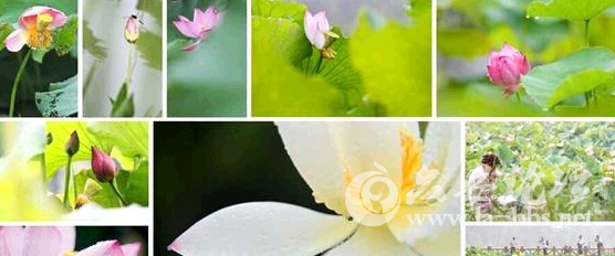 QQ截图20150621085512.png