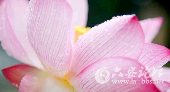 QQ截图20150621085444.png