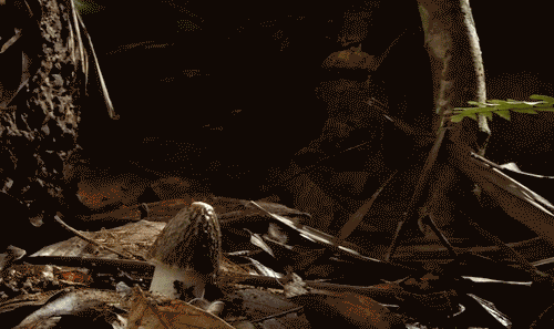 20150706191301720.gif