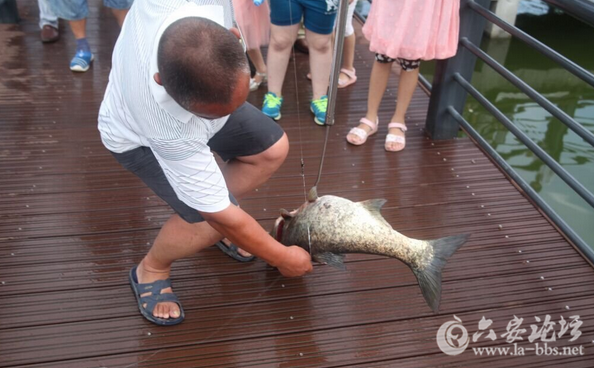 QQ截图20150727144407.png