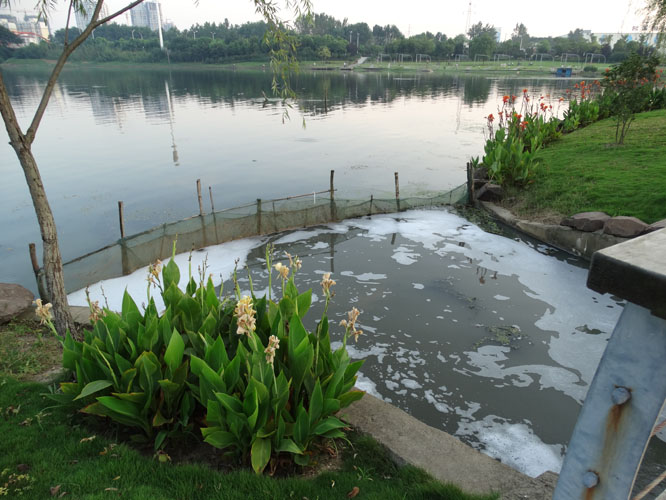 臭不臭这是臭水流向淠河的通道