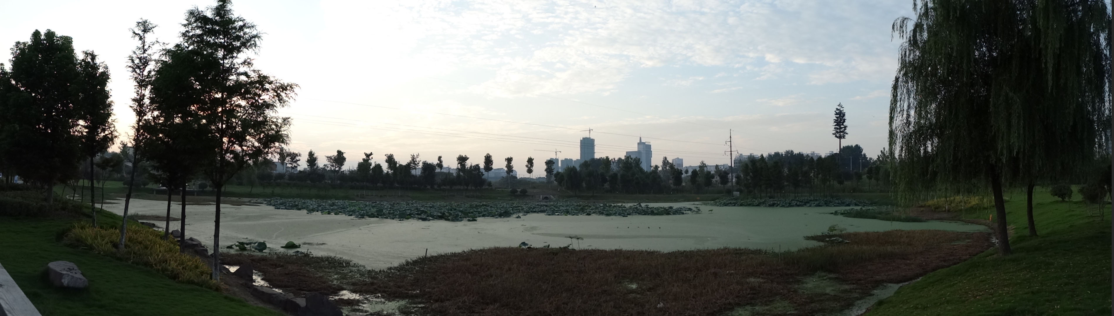 这是臭水的源头