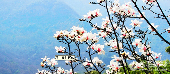 QQ截图20150814163616.png
