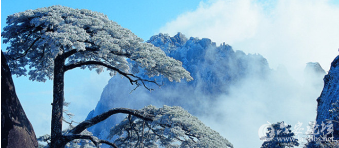 QQ截图20150814163625.png
