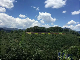 QQ截图20150817142714.png