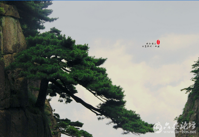 QQ截图20150818150255.png