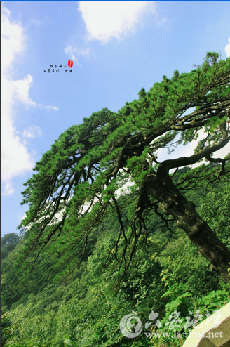 QQ截图20150818150314.png