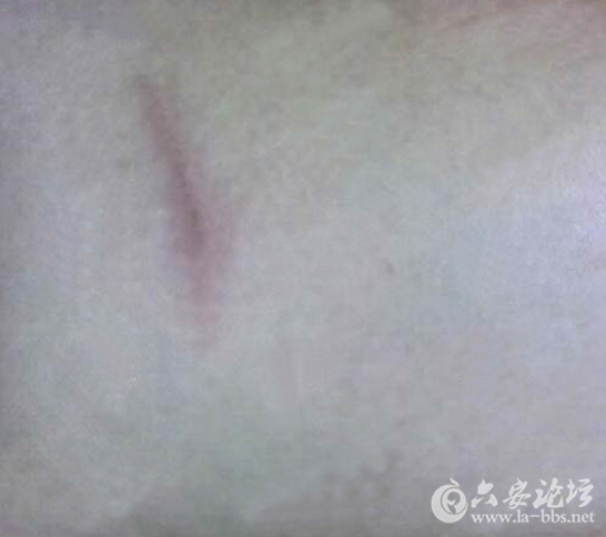 QQ截图20150819095408.png