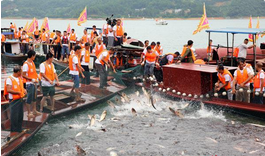 QQ截图20150821162255.png