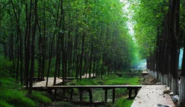 QQ截图20150822151837.png