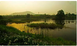 QQ截图20150822151923.png