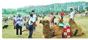 QQ截图20150824150100.png