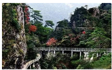 QQ截图20150824151125.png